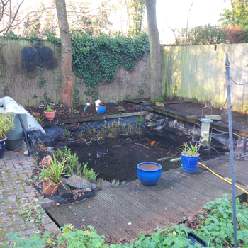 Liner and Decking Pond