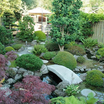 Japanese Garden