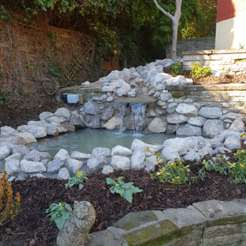 Pond and Waterfall